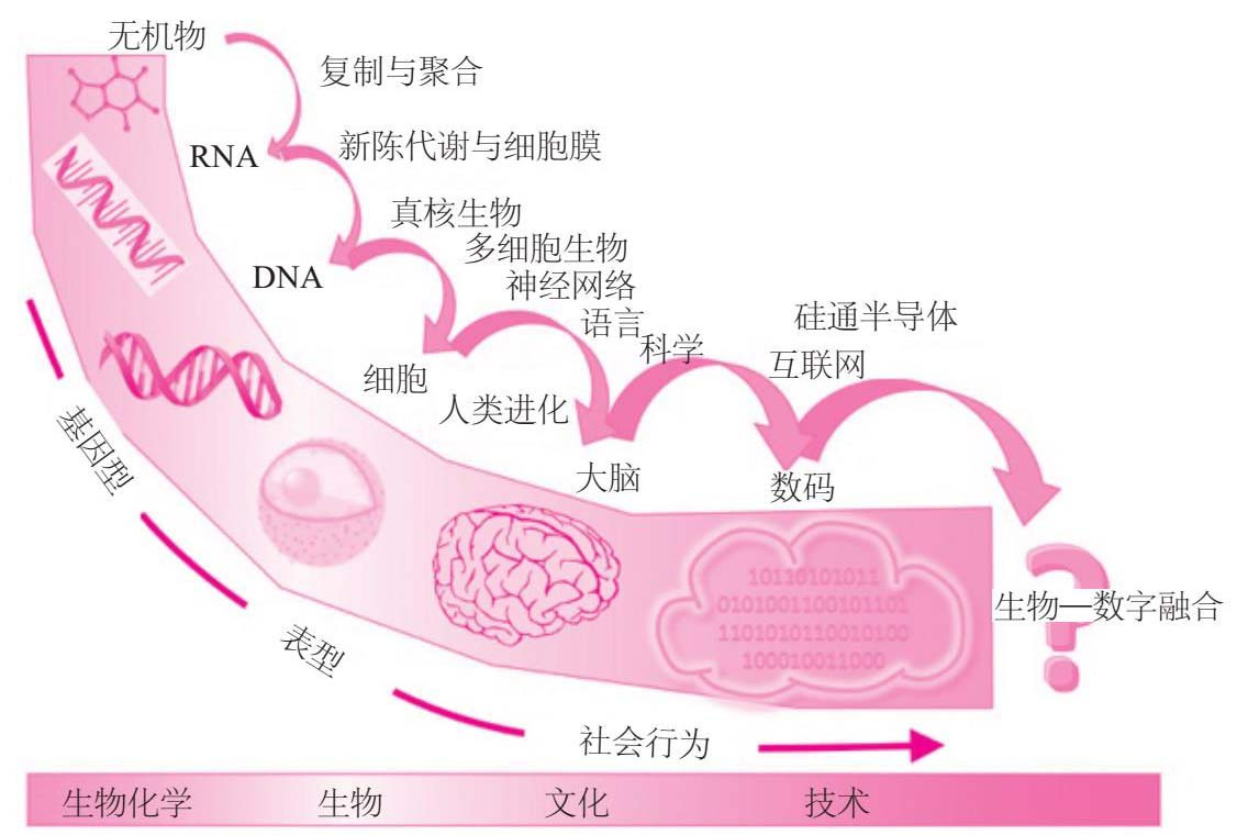 《跃迁》 20241003122618710